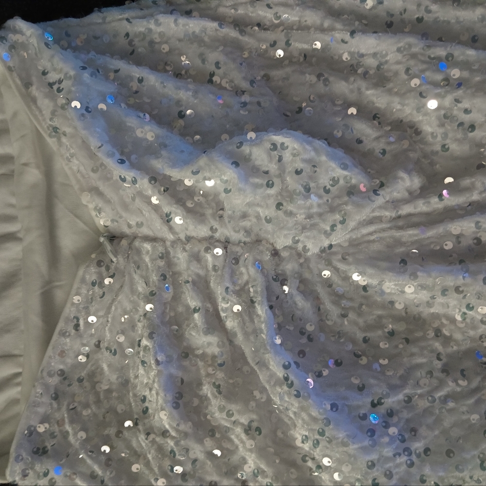 Wedding Dress - Picture 6 of 8